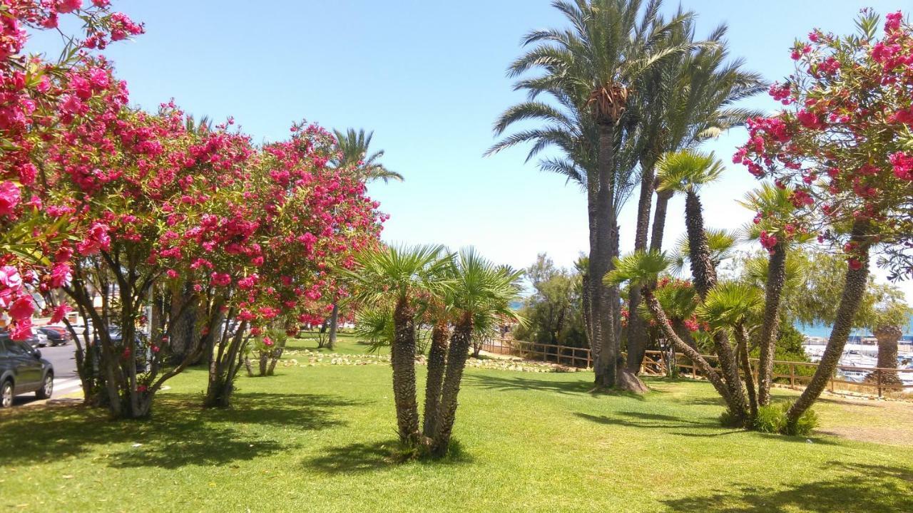 Apartamento "Paula" Cabo Roig Eksteriør billede